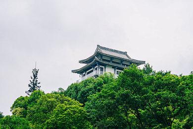 网络语言游戏挑战：巧用路牌击退蜥蜴人，通关第2关攻略大揭秘