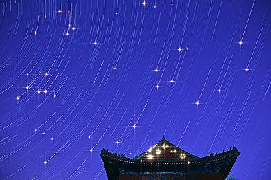 菊花谜题解密：夜幕下的珍珠奇遇